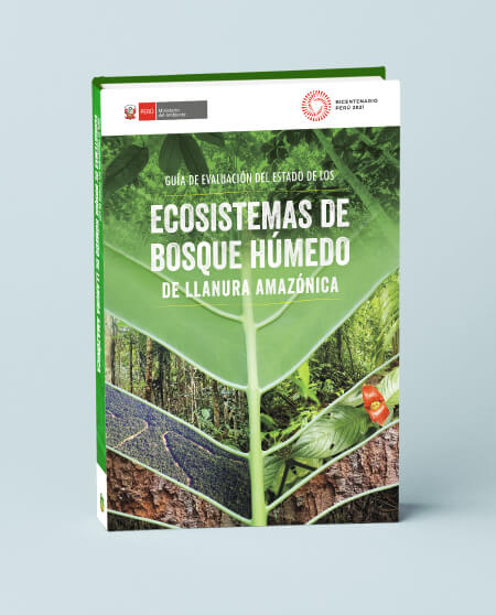 Guía de evaluación del estado de los ecosistemas de bosque húmedo de llanura amazónica
