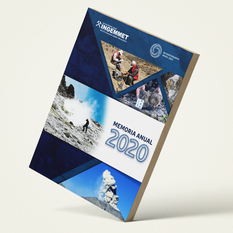 Memoria Anual 2020